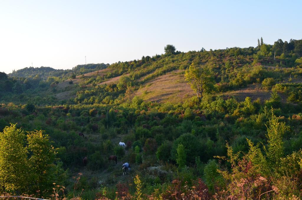 Apartments Fairy Land Rakovica Exteriér fotografie